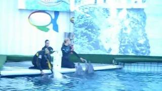 Ялта 2011 614
