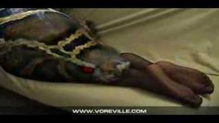 Sexy LEGS - Sexy Videos - Snake Swallows Prey