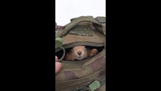 Орех из кармана вкуснее, чем из рюкзака / A nut from a pocket tastes better than from a backpack