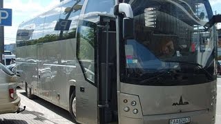 #2248. Автобус МАЗ тюнинг
