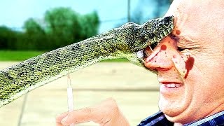 УКУС ЗМЕИ - ЗАМЕДЛЕННАЯ СЪЁМКА 4