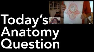Today's Anatomy Question #4: Should women really practice Mula Bandha?