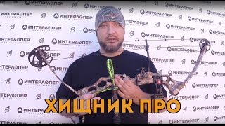 Блочный лук Хищник ПРО — отзыв от Mazila