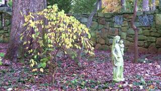 MacCallum More in Peak Fall Colors