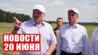 Лукашенко: Это нас спасёт! Урожай будет хороший, если всё делать по технологии! / Новости 20 июня