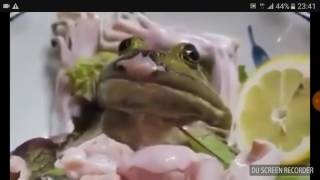 Chinese cute girl eat frog alive