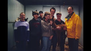 Animal Planet's Baby Animals with Chloe the Alpaca