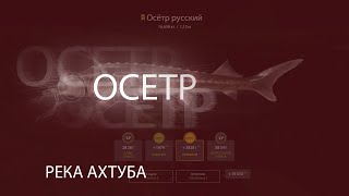 Русская рыбалке 4! РР4! RF4! Река Ахтуба - Осетр!