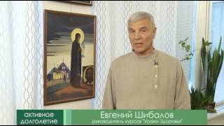 "Активное Долголетие"_Е.Н.Шибалов(2012)