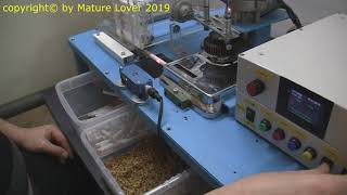 Elektrische Stopfmaschine