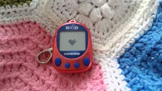 Nano pony virtual pet review!
