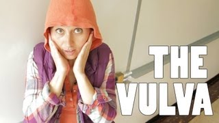 The Vulva - The Vagina's Neighborhood - 4