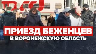Прибытие беженцев из ЛНР и ДНР в Воронежскую область — видео