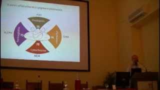Jean Ratte: Biosemantics of syntropy