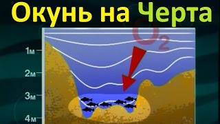 Диалоги о рыбалке -118- Глухозимье, ловля окуня на черта