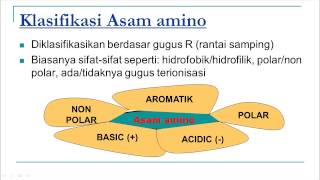As. Amino dan Protein (TSN)