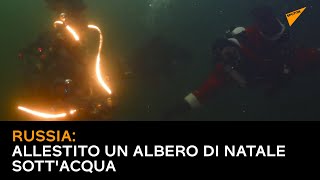 Russia: allestito un albero di Natale sott'acqua