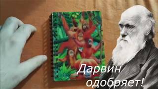 Обзор БЛОКНОТА 3D