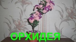 Бисероплетение для начинающих (Орхидея 1 часть) Мастер-класс