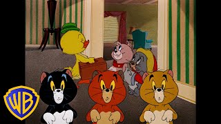Tom y Jerry en Español ???????? | ¡Los animalitos más monos! | @WBKidsEspana​
