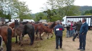 feriona de corao 2013