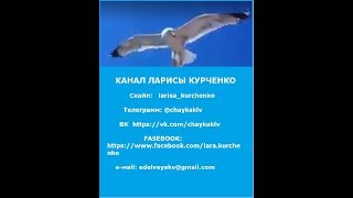 СУПЕРКОПИЛКА. ЧТО ТАКОЕ ПРОМОКОД И КАК ЕГО ИСПОЛЬЗОВАТЬ