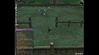 Lineage 2 PvP Arena