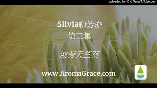 Silvia聊芳療003-波旁天竺葵