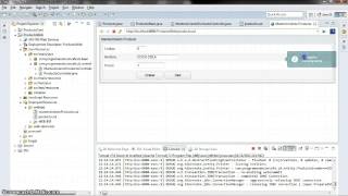 ZK+SPRING+HIBERNATE-CAPA WEB