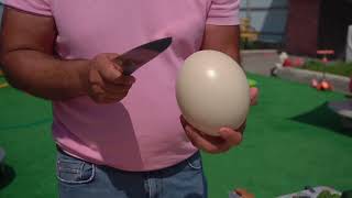 An EGG on a FRYING PAN. HOME RECIPE.
