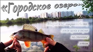 С ультралайтом в черте города, ловля окуня и щуки - "Городское озеро"