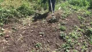 Насадка для тримера культиватор