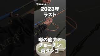 第139回釣技最前線 #Shorts #マルキユー #GD #両ダンゴ
