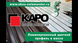 Ламинированный цветной профиль в массе (Salamander)