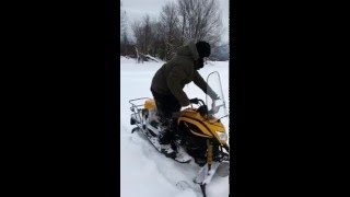 Мухтар7 и Динго т150 пухляк 0.5 метра