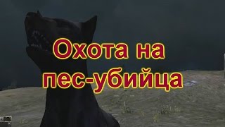 Охота на Босса Пес убийцу окрестности Любича  Сталкер sZone Online