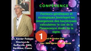 Conférence : La Flavescence dorée de la vigne-Dr.Xavier Foissac/INRA Bordeau
