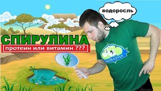 СПИРУЛИНА это ПРОТЕИН или ВИТАМИН ???