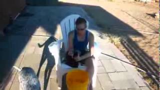 amputee ice bucket challenges