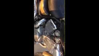 YAMAHA VİRAGO 535 ANTALYA