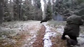 wild boar hunting. Снайпер на охоте,охота на кабана.(прикол)
