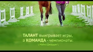 Талант выигрывает игры, а команда
