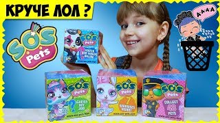 ? SOS pets ? Ну как в них не влюбиться? // Нашла замену ЛОЛ?