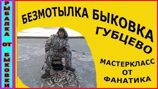 Безмотылка быковка. Губцево. Мастеркласс от Фанатика.