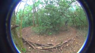 DH Espelho Pista G13