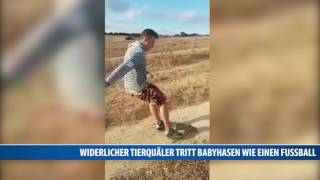 Täter gesucht: Widerlicher Tierquäler tritt Babyhasen