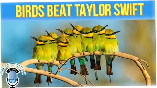 Album of Endangered Bird Sounds Beat Taylor Swift on Top 50 Chart