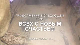 Гранулятор DR4R 400 Производительность Дубовая Стружка 500 кг Потребление 45 кВт Productivi Oak Chip