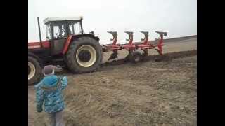 orka po burakach zts 16245 i uprawa po wymarznientym zbożu zts 10145