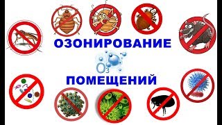 САМЫЙ ЛУЧШИЙ СПОСОБ Как сохранить сушь, рамки, инвентарь от восковой моли, мышей, болезней и вирусов